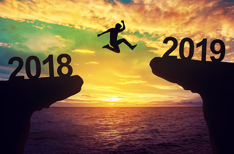 Leaping into 2019!