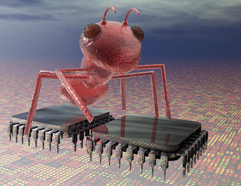 Do you have ants in your CPU?