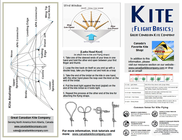 How to Fly a trick kite - two line kite