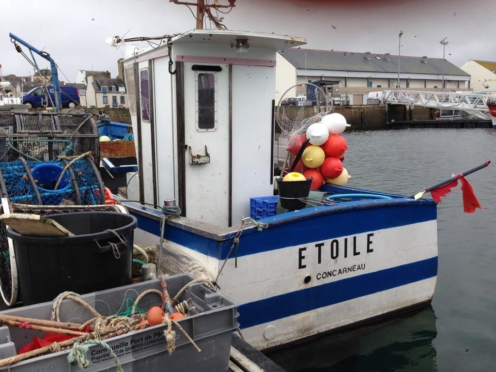 Im Hafen von Concarneau