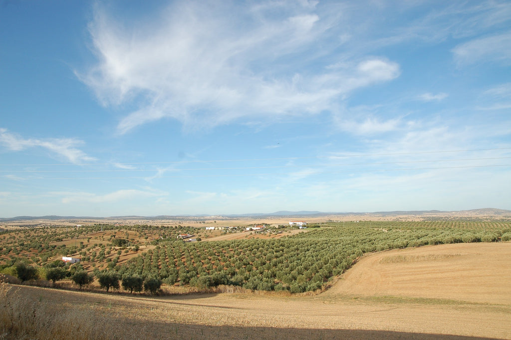 Nachhaltiges Alentejo - Maitre Philippe & Filles