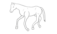 Horse Outline