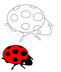 Ladybug/Ladybird outline