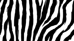 New Zebra Pattern