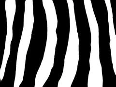 Simple Zebra Pattern