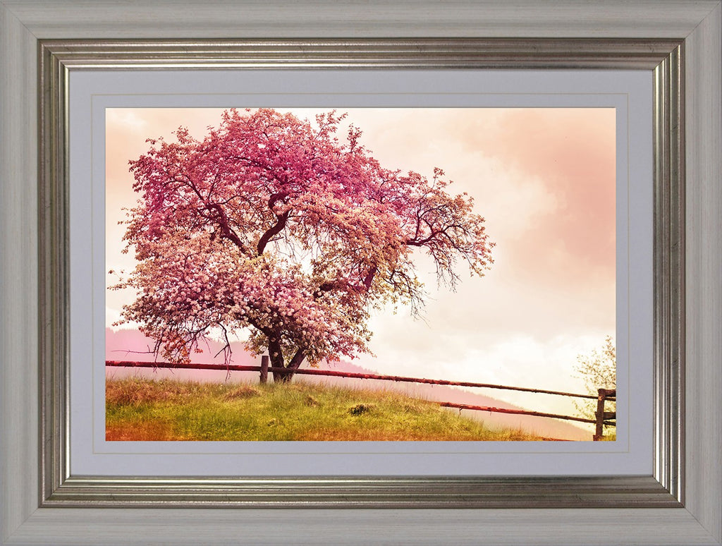 Blossom Tree I