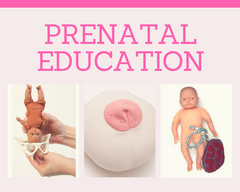 Prenatal Teaching Models