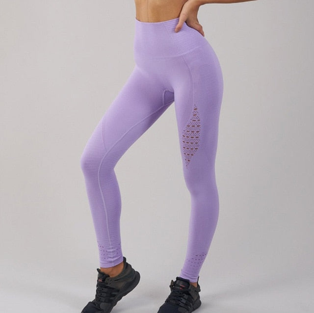 shark gym leggings