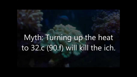 Myth Turning up heat