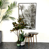 Palms Canvas Print