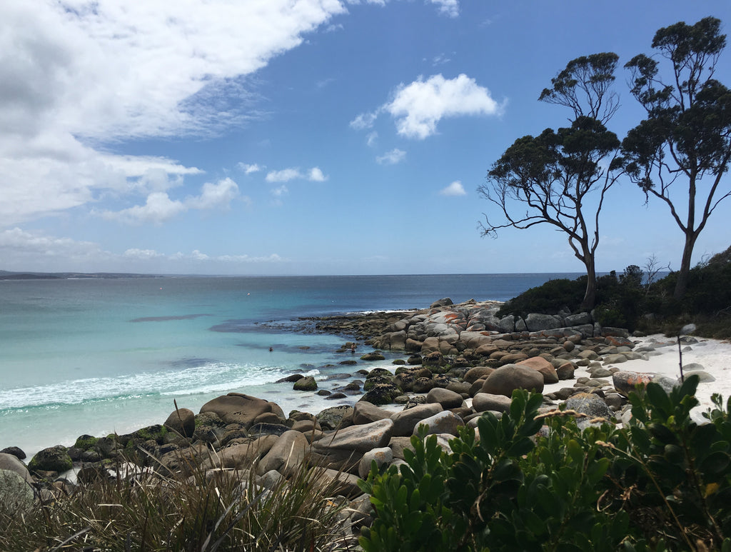 Bay Of Fires - Tours Tasmania