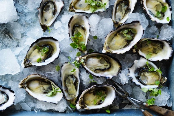 Oysters on a platter of ice