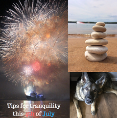calming dogs for 4th of July, firework anxiety, CBD, possible love, pawsible love