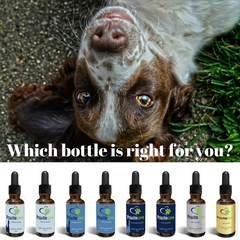 CBD, which product to use, best CBD for pets, CBD for pets, vet approved CBD, Colorado sun grown