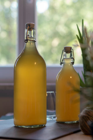 embouteillage kombucha