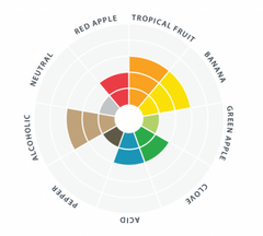 Lallemand Brewing Abbaye Ale Yeast Flavour Aroma Wheel