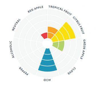 WildBrew Sour Pitch