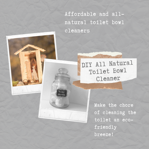 DIY Toilet bowl cleaner