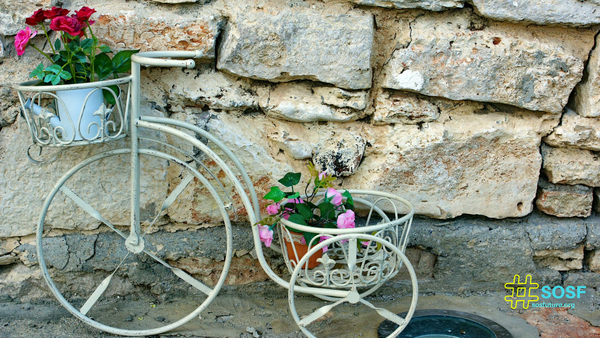 DIY Up-cycled Planters