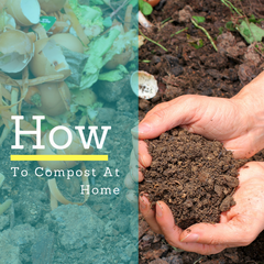 howto compost
