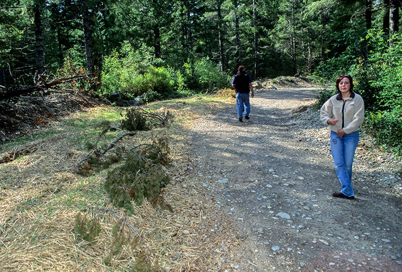 Re-Greening of Wood Chip Beds