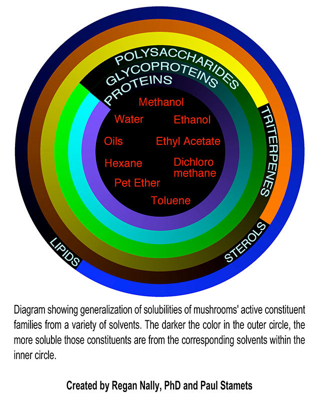 Diagram showing generalization of solubilities of mushrooms' active constituent families from a variety of solvents. The darker the color in the outer circle, the more soluble those constituents are from the corresponding solvents within the inner circle.