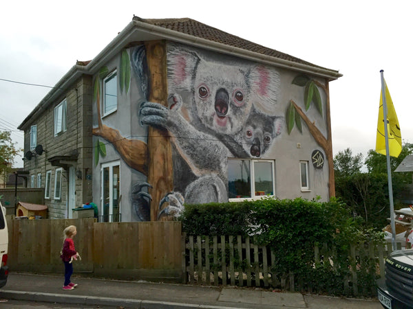 Koala House Malmesbury Street Art 