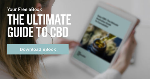 Download CBD eBook
