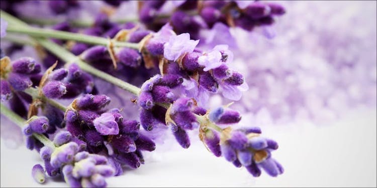 Linalool