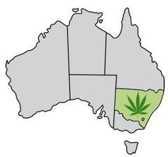 New South Wales Cannabis Laws Map