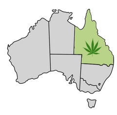 Queensland Cannabis Laws Map