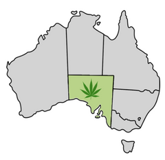 South Australia Cannabis Laws Map