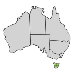 Tasmania Cannabis Laws Map