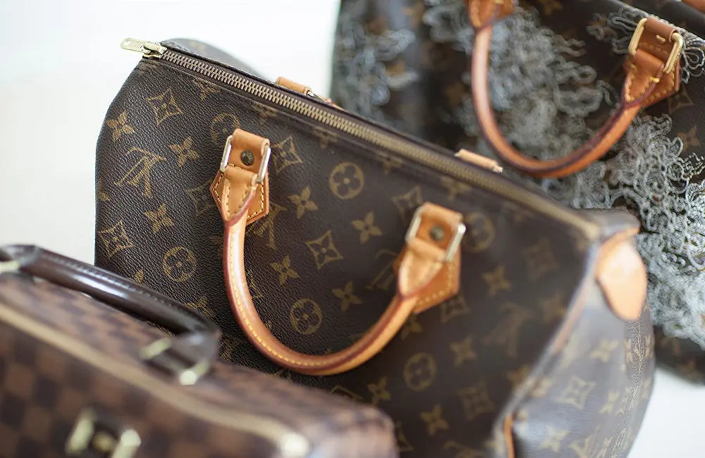 svømme Afbestille opretholde Louis Vuitton Speedy Bag Reference Guide: History, Releases, Leathers |  Bagaholic