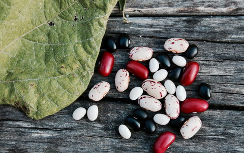 Black, White, Cranberry and Kidney Beans