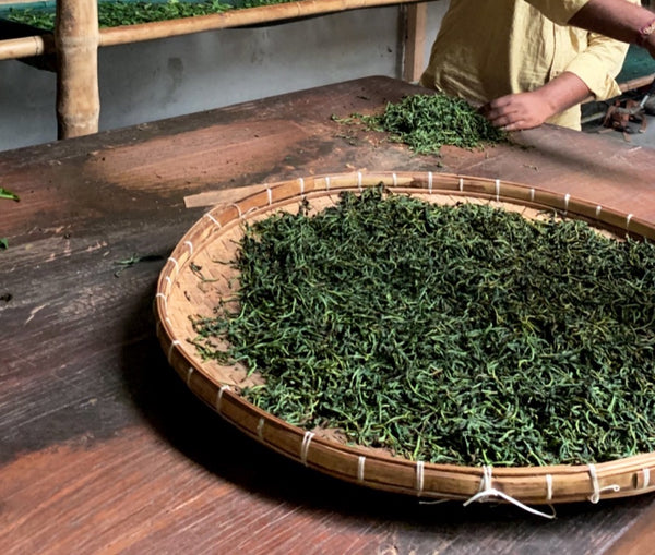 Hand-rolled tea at Assam Heritage Estate. Photo by Big Heart Tea Co.