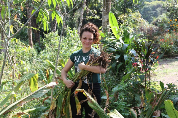 Big Heart Tea Co. Founder Lisa Govro in Darjeeling, India with freshly harvested turmeric