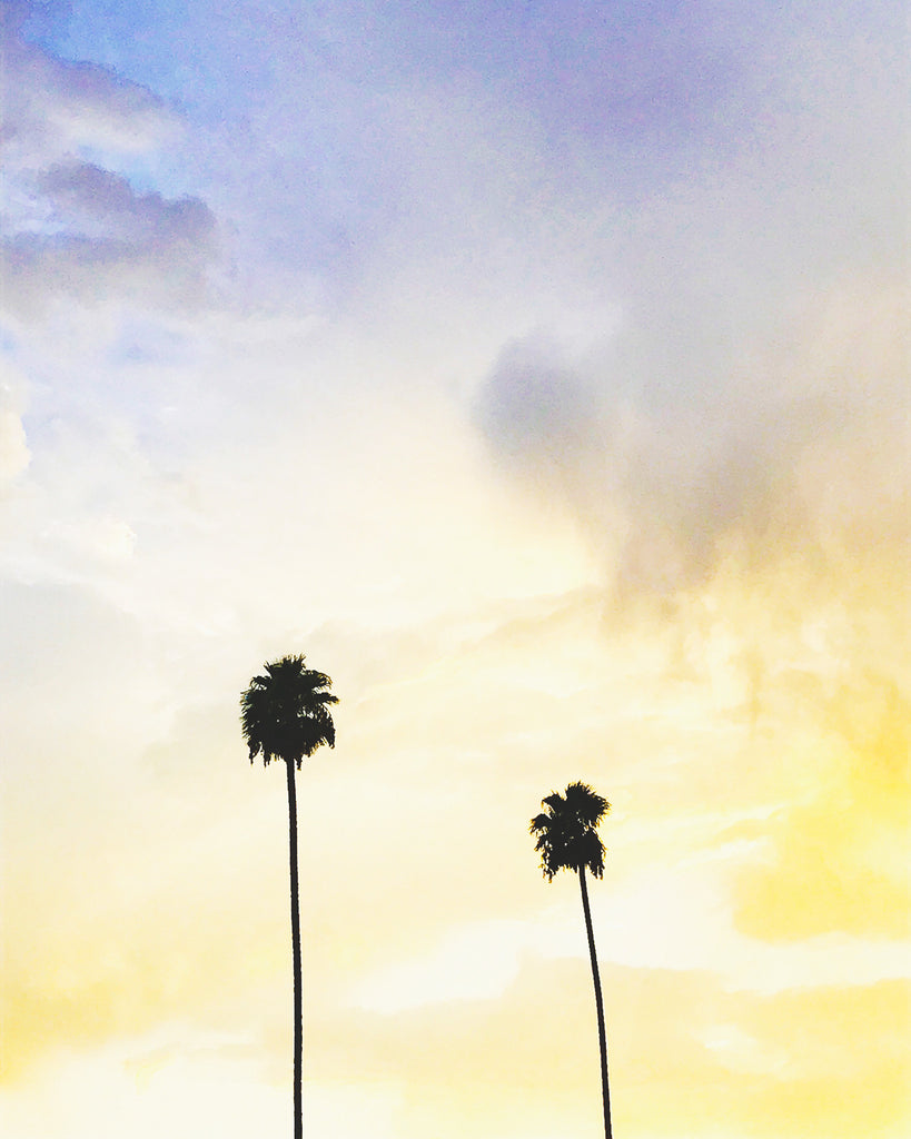 Palm trees against the L.A. sunset on Big Heart Tea Co.'s visit to Alfred Coffee