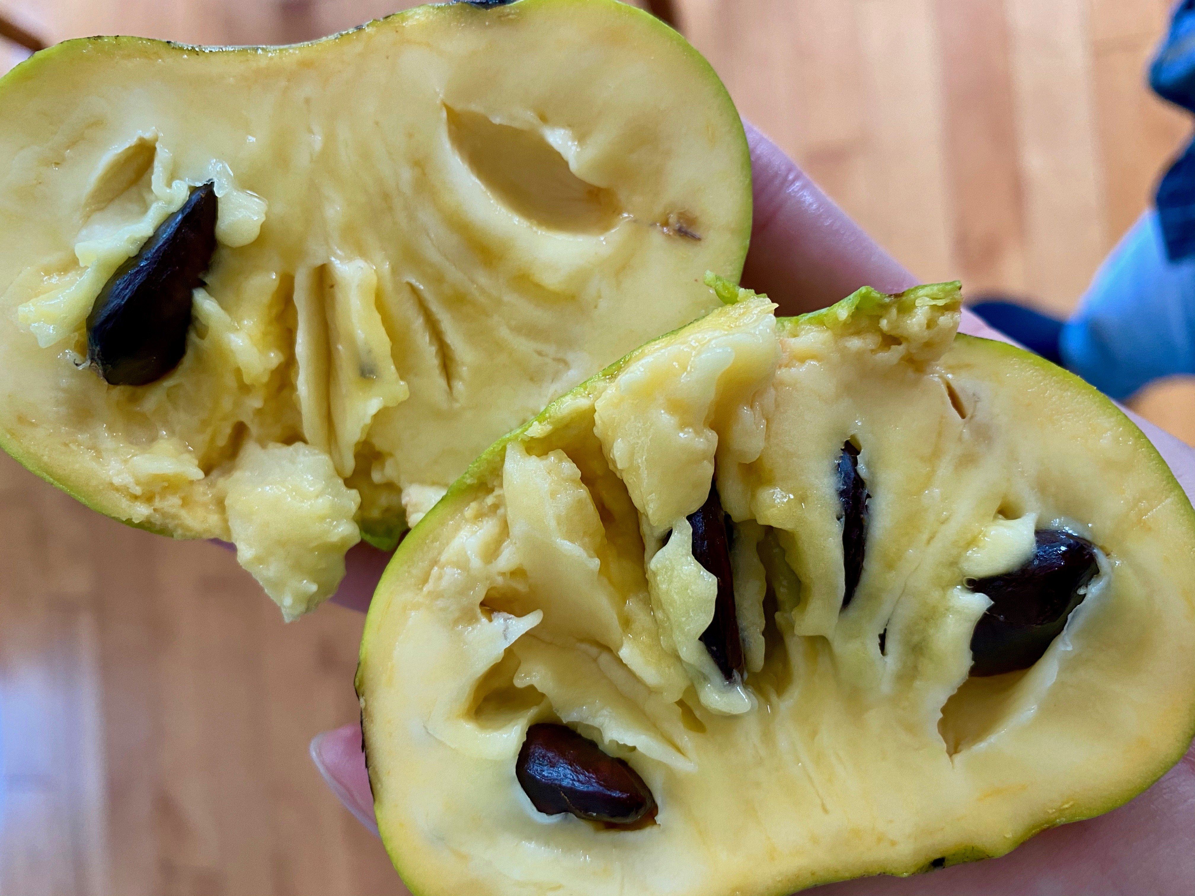 The curious history of pawpaws — and how to a taste for yourself – Number 1 Sons