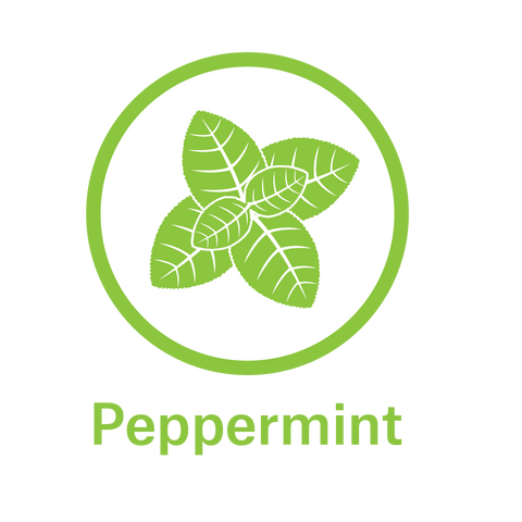 Essential Oil Peppermint - Provides Soothing Flavor, anesthetic and counterirrantant properties