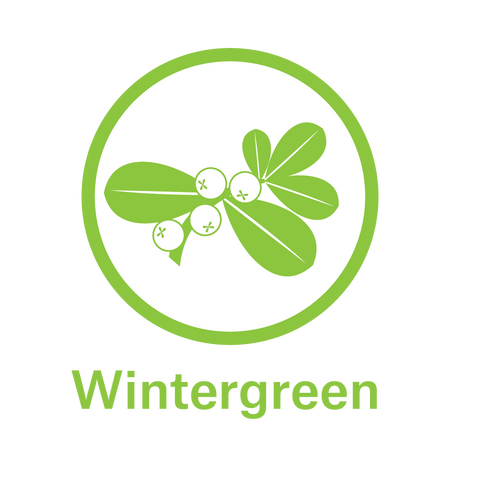 Essential Oil - Wintergreen 