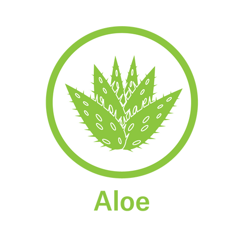 Essential Oil Aloe - Soothes Gums and Heals Oral Tissue 