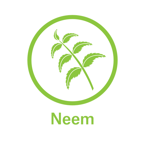 Essential Oil Neem - Anti-Bacterial and Antri- Viral Properties. Helps Remove Plaque. 