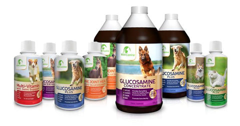 glucosamine products for pets