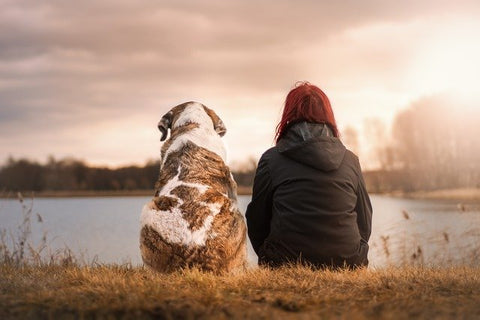 dog and woman sitting together enjoying the sunset