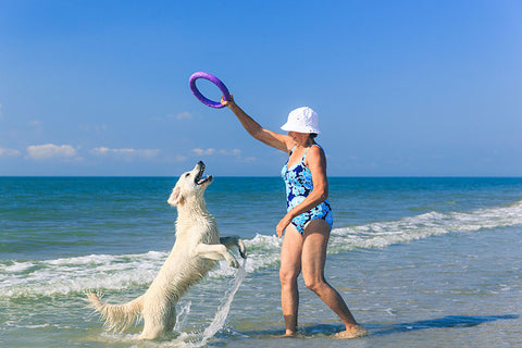 woman playing with dog on the beach