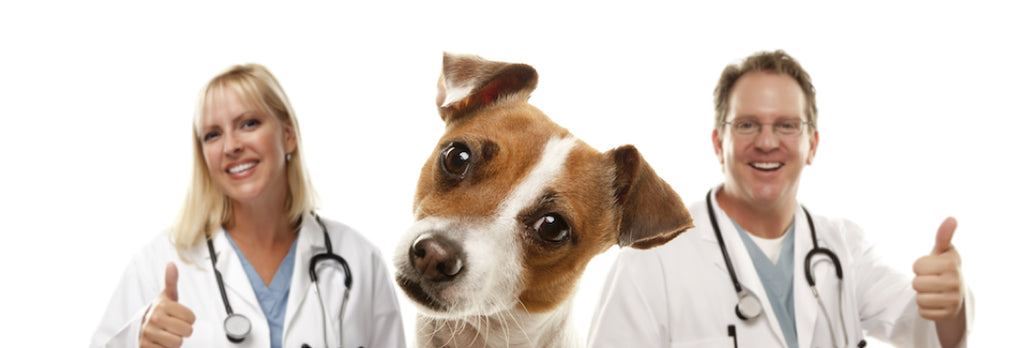 veterinarian testimonials