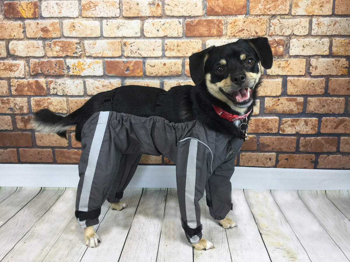 Medium Black FouFou Dog 62563 Bodyguard Protective All-Weather Dog Pants
