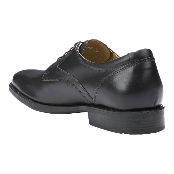 School Uniform | Geox Federico Laced 