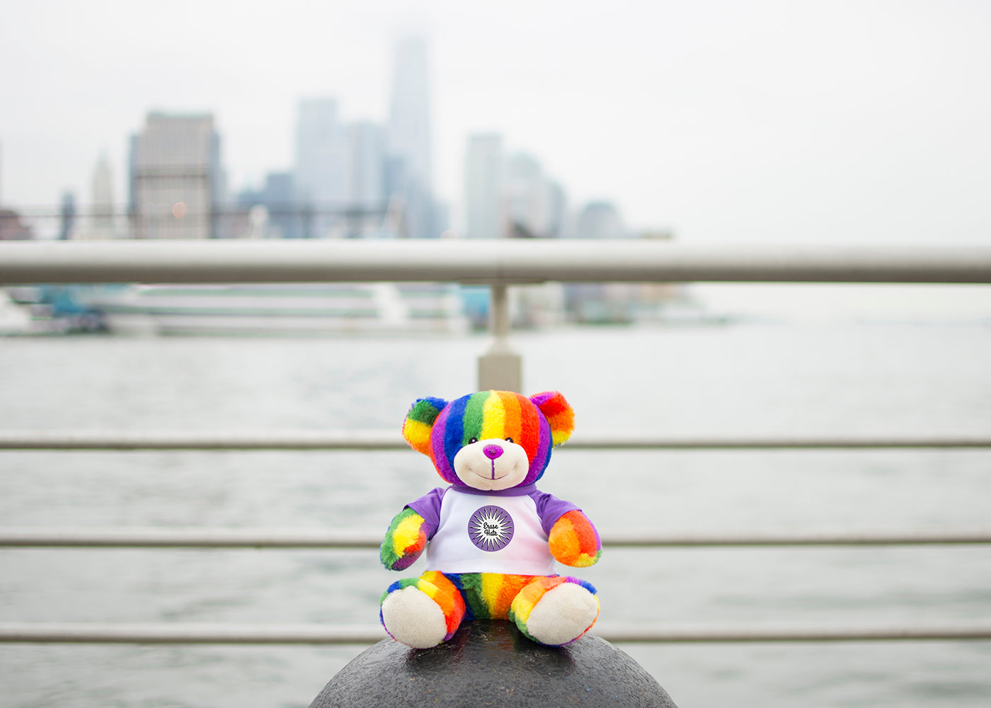 Bear Buggy®'s Totally Pride Bear photographed at the end of the Christopher St. Pier aka Pier 45 on the Hudson River where Marsha P. Johnson's body was found in July 1992.